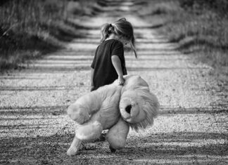 Ile kosztuje Toy Toy?