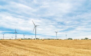 Jak Rolować worki pod oczami? Jak Rolować worki pod oczami?