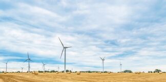 Kiedy nie wolno się rolować?