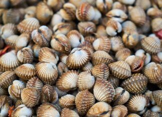 Jak najszybciej wyleczyć łuszczycę?