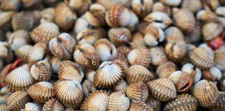 Czy można pić kawę przy łuszczycy?