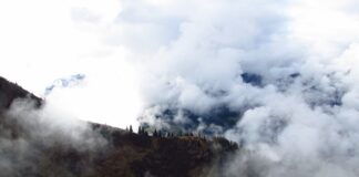 Czy można korzystać z ambony?