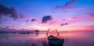 Jaki kolor kamizelki odblaskowej na rower?