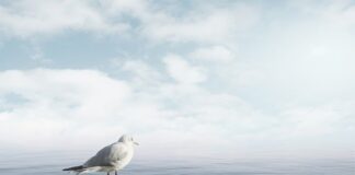 Jak uspokoić oddech podczas biegu?