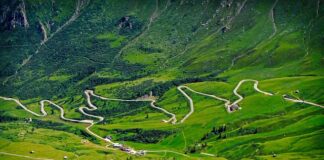 Ile kosztuje miesięczny karnet na siłownię?