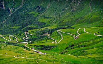 Ile kosztuje miesięczny karnet na siłownię?