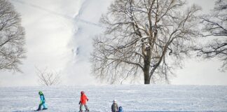 Jaki Flex dla początkujących snowboard?