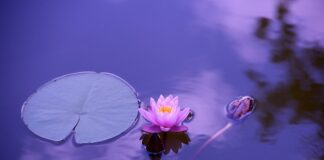 Ile powinna trwać joga?