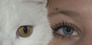 Czy membrana 5000 jest wystarczająca na narty?