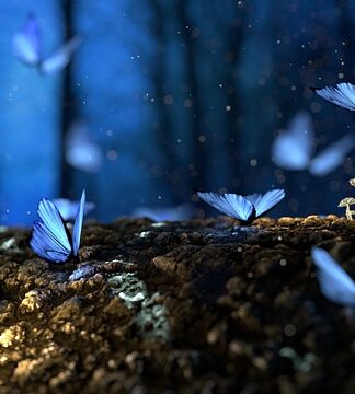 Jakie drewno na ambonę? Jakie drewno na ambonę?