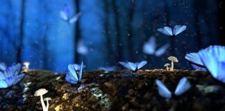 Ile m3 drewna na m3 desek?