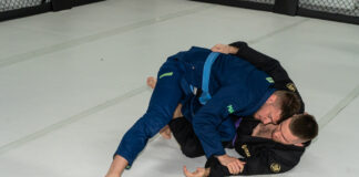 producenci kimon w polsce