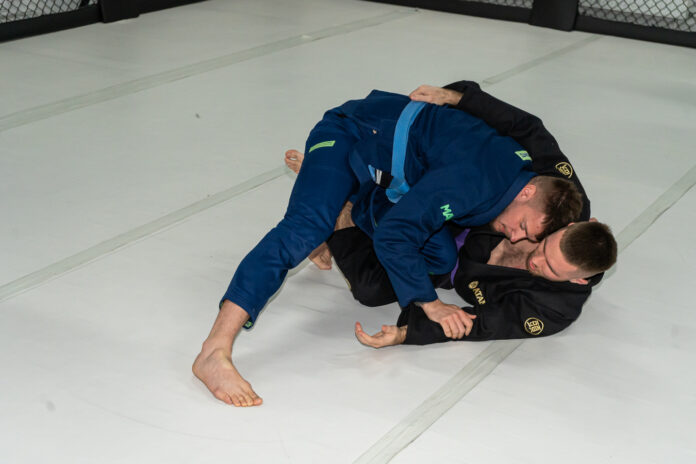 producenci kimon w polsce